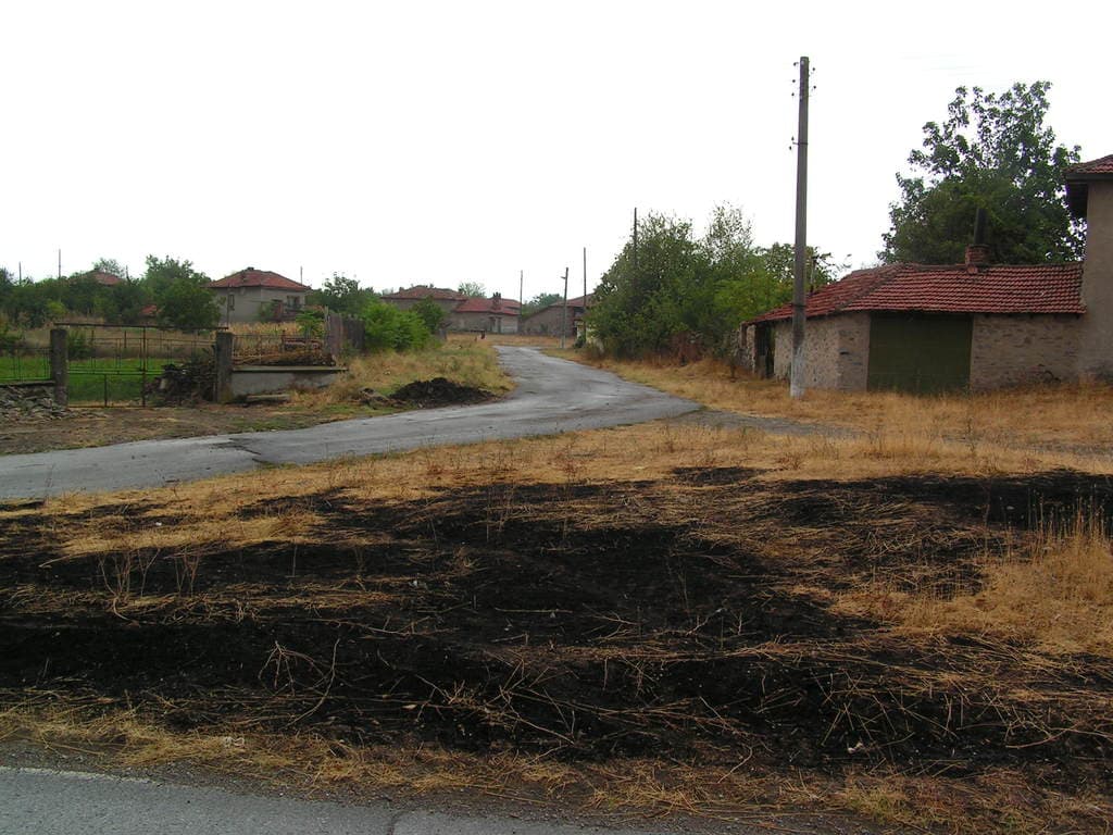 Ein Wohngebiet mit Häusern, Bäumen, Pflanzen, trockenem Gras und Strommasten.