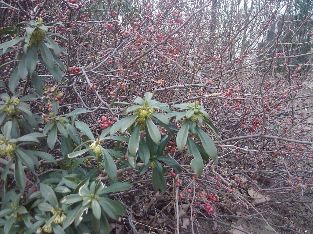 Bäume auf der linken Seite des Bildes.