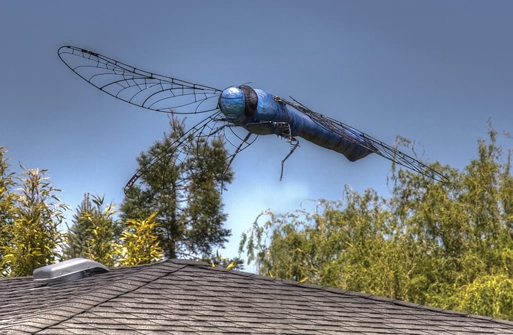 Eine Libellen-förmige Anordnung von Bäumen mit sichtbarem Himmel oben.