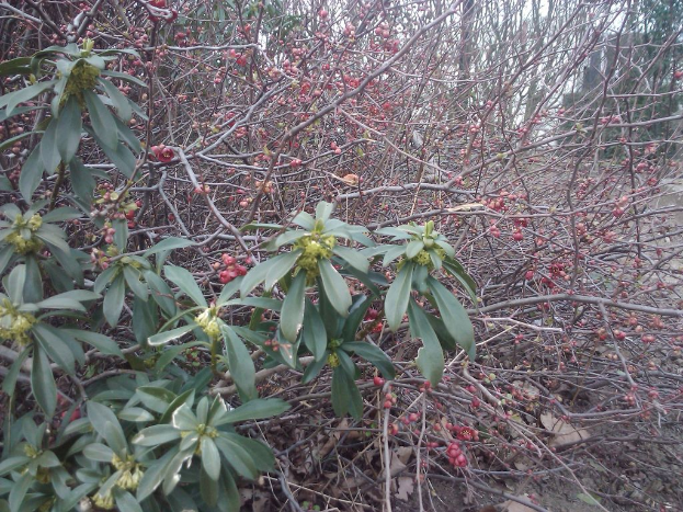 B√§ume auf der linken Seite des Bildes.