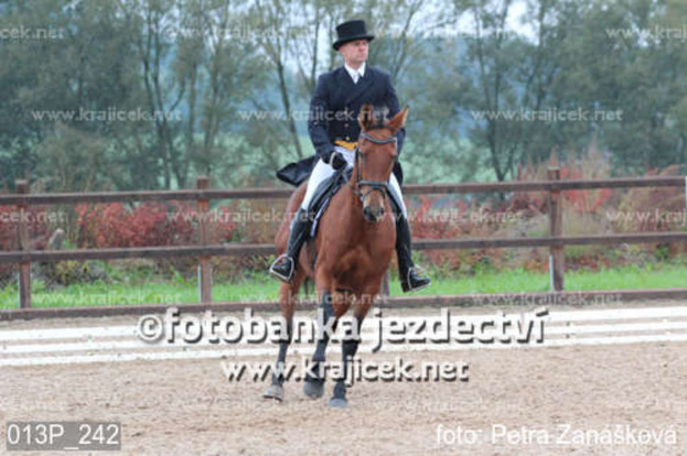 Eine Person in Kleidung reitet ein Pferd vor einem Zaun und Bäumen, mit Text am unteren Bildrand.