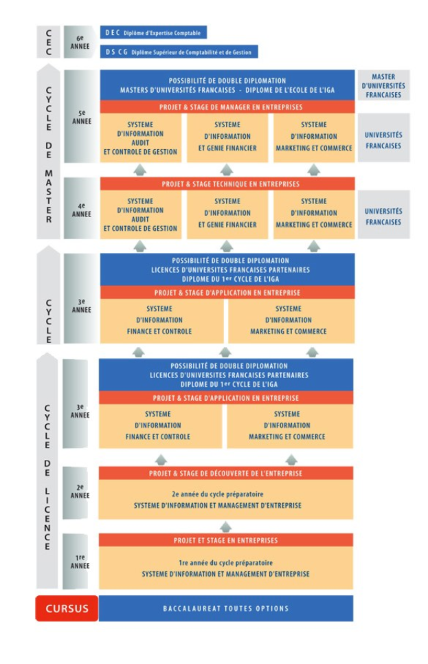 Diagramm, das die organisatorische Struktur eines Unternehmens mit interconnected boxes darstellt, die die Stufen des Geschäfts growths und der Entwicklung darstellen, begleitet von beschreibendem Text.