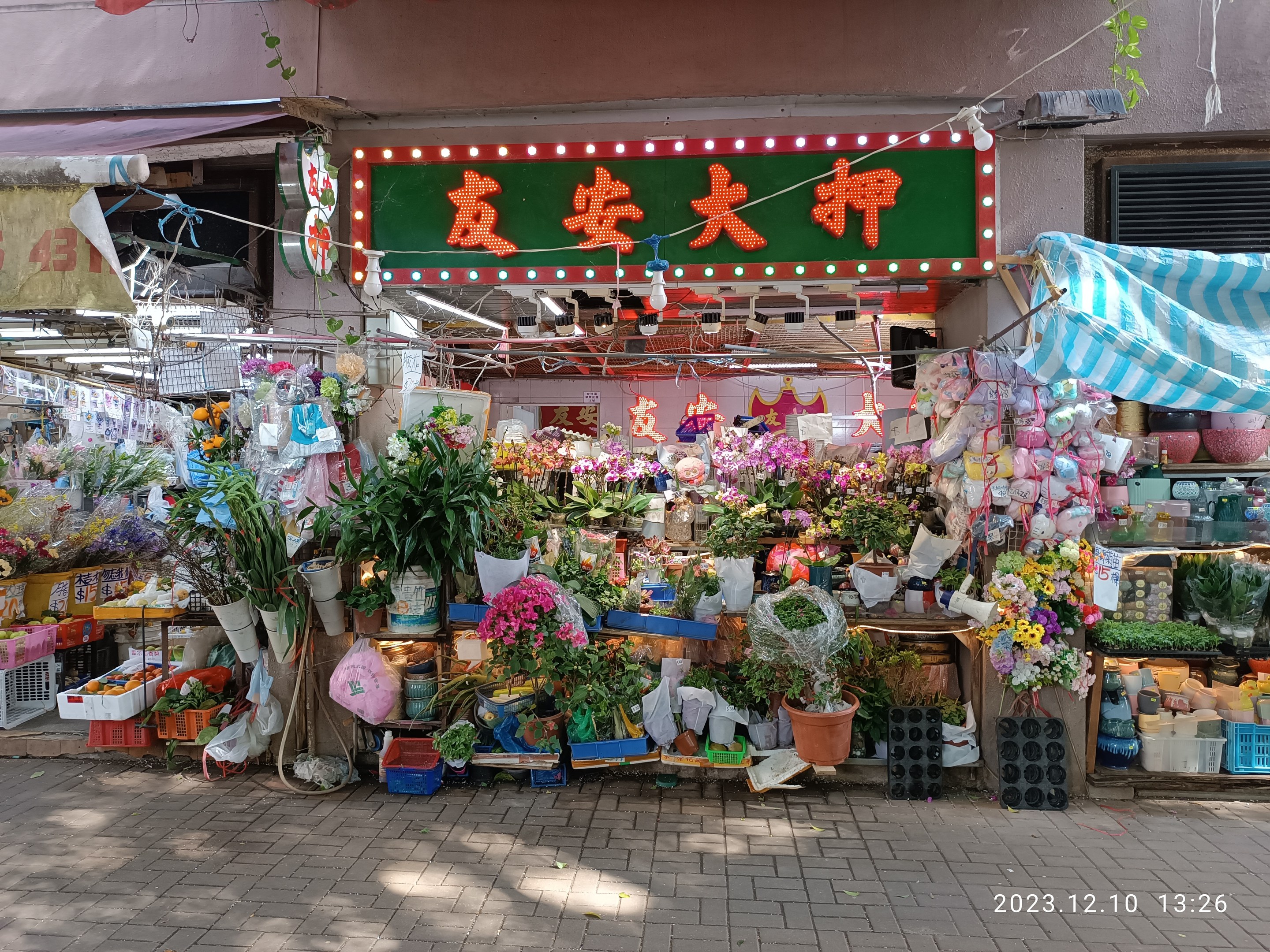 Ein blühender Blumenmarkt in Hong Kong zeigt farbenfrohe Blumen, Pflanzen und Gegenstände, mit einem Gebäude im Hintergrund und einem Textschild sowie verstreuten Gegenständen auf dem Boden.