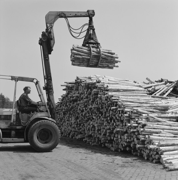 Ein Mann fährt einen Gabelstapler mit einem Holzstapel auf dem Rücken durch einen Wald unter einem klaren Himmel, dargestellt in Schwarz-Weiß.