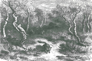Eine Schwarz-Weiß-Illustration eines Fuchses in einem bewaldeten Gebiet mit Bäumen und Pflanzen, mit dem Text "Der Fuchs und die Hunde" unten.