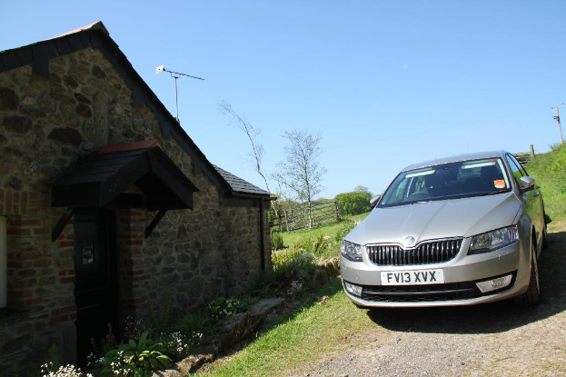 Eine Szene mit einem Haus, einem Zaun und verschiedenen Pflanzen und Blumen links und einem Auto, einem Strommast und weiterer Vegetation rechts unter einem sonnigen Himmel.