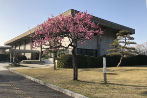 Ein großes Gebäude mit einem Baum davor, umgeben von üppiger Vegetation, mit einer Straße unten und dem Himmel im Hintergrund, das als Hauptsitz des Japanischen Instituts für Wissenschaft und Technologie dient.