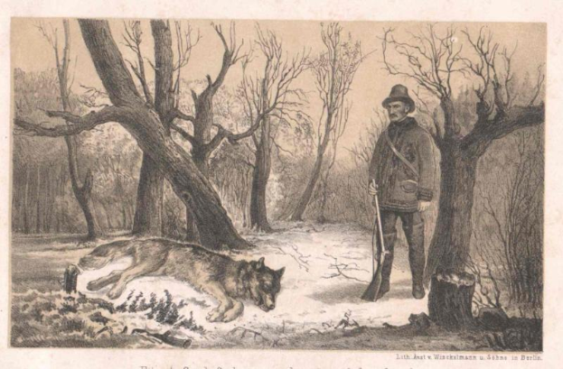 Ein Mann mit Hut und Stock steht neben einem Wolf, der auf dem Boden liegt, in einem bewaldeten Gebiet, mit der Aufschrift "Deutscher Wolfsjagd" unten.