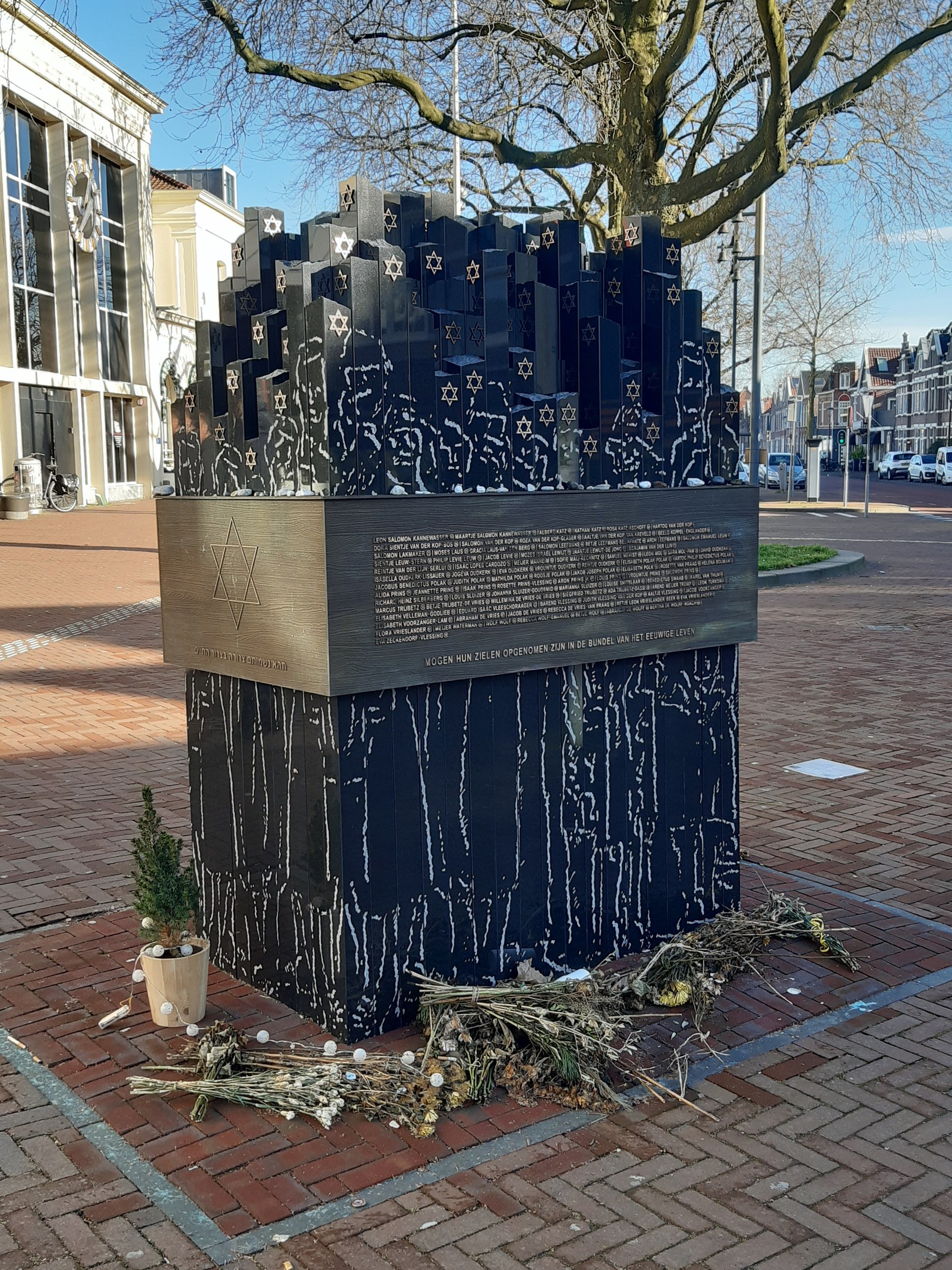 Denkmal in einem Stadtplatz für Holocaust-Opfer, mit einem Baum davor, einem Topfgewächs am Boden, verstreuten trockenen Blättern und Gebäuden, Fahrzeugen, Pfählen und Bäumen im Hintergrund.