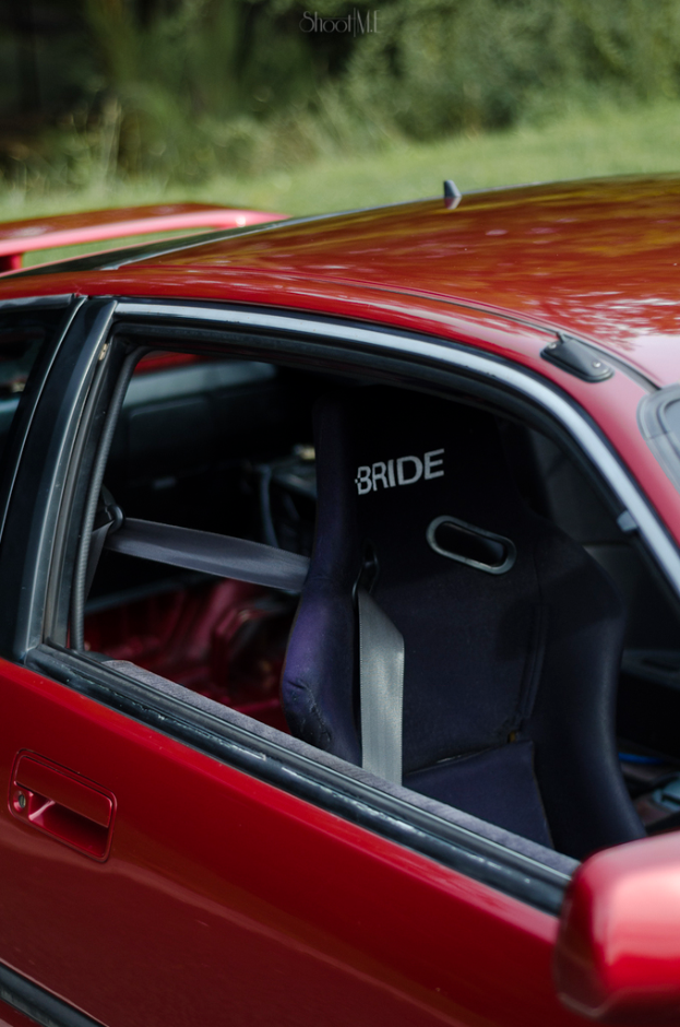 Ein dunkler roter Wagen mit Pflanzen auf dem Dach.