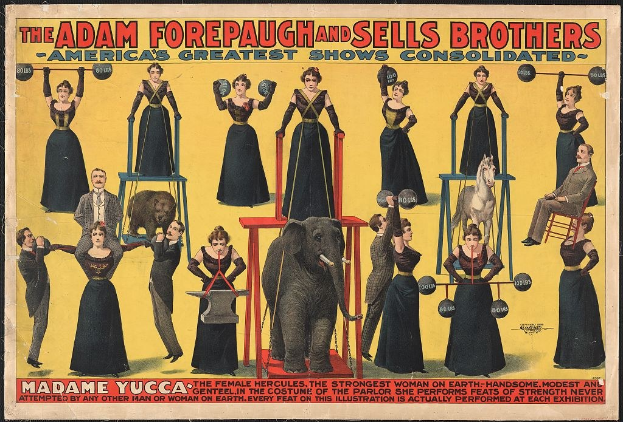 Plakat für die vereinigte Zirkusshow von Adam Forepaugh und Sells Brothers mit Künstlern auf Hockern und einem zentralen Elefanten