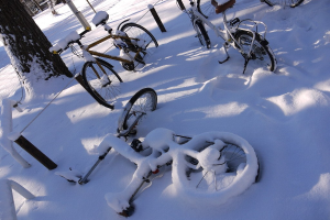 Eine Reihe von Fahrrädern, teilweise mit Schnee bedeckt, neben einem Baumstamm und einer Straße aufgereiht.