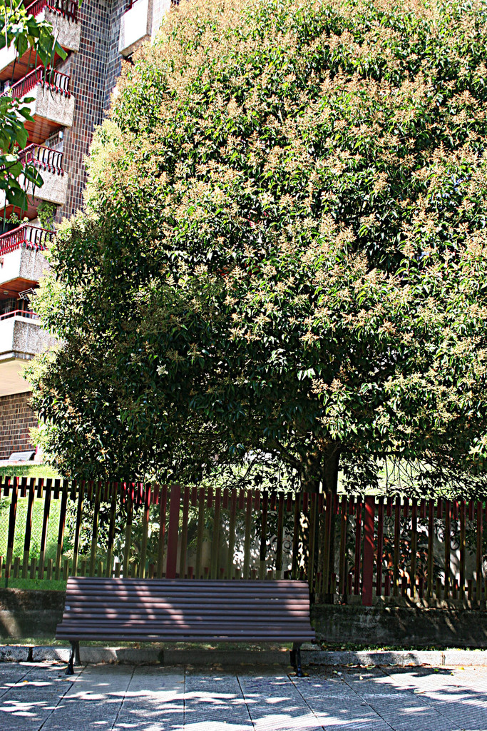 Eine Bank ist am unteren Rand des Bildes mit einer Begrenzung dahinter positioniert, mit Gebäuden und Grünflächen im Hintergrund.