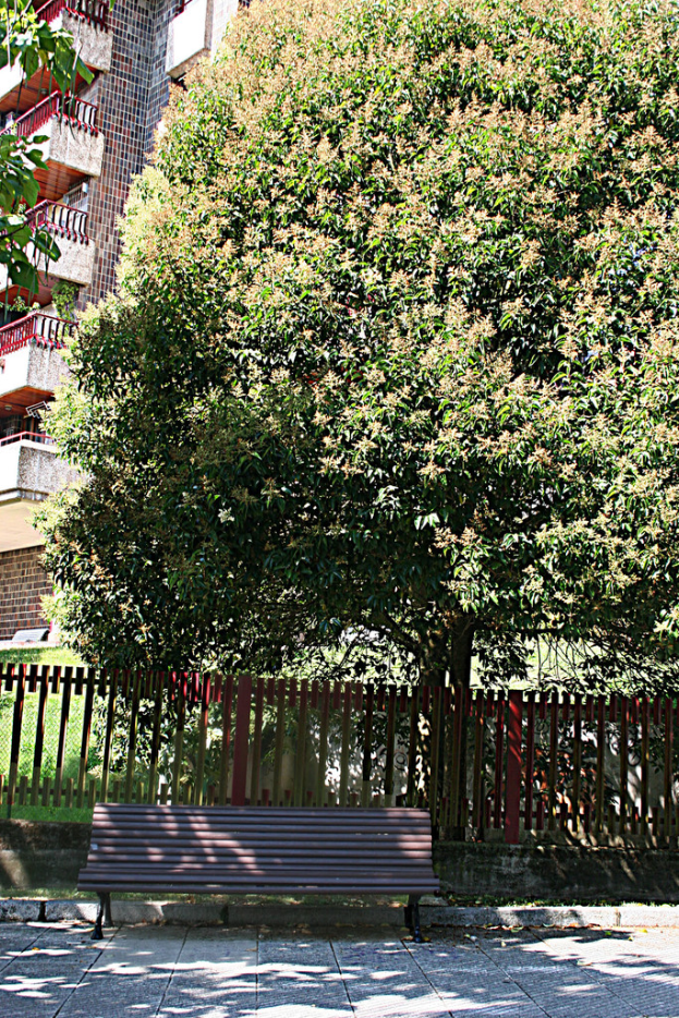 Eine Bank ist am unteren Rand des Bildes mit einer Begrenzung dahinter positioniert, mit Gebäuden und Grünflächen im Hintergrund.