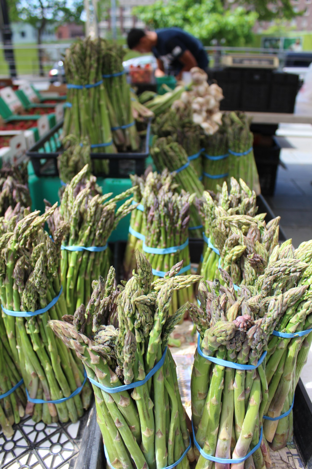 Frische Spargelbündel auf einem Bauernmarktstand, mit einer Person im Hintergrund vor Bäumen, Gebäuden und einem klaren blauen Himmel.