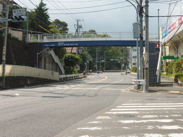 Stadtstraße mit einer Fußgängerbrücke darüber, Fahrzeuge auf der Straße, Strommasten mit Drähten, Verkehrsampeln, Schilder, Gebäude, Bäume, Pflanzen und einen Himmel als Hintergrund.