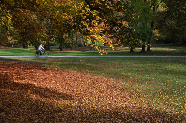 Eine Person fährt mit dem Fahrrad einen Parkweg entlang, der von Bäumen gesäumt ist, die ihr Laub in Herbstfarben zeigen.