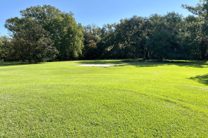 Ein Golfplatz mit saftig grünem Rasen und Bäumen im Hintergrund, der sich auf dem 18. Loch eines Golfclubs in Charleston, SC befindet, mit einem sichtbaren Himmel über den Bäumen.