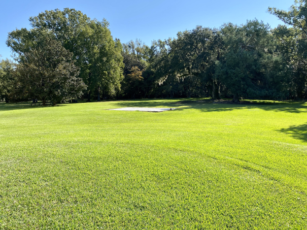 Ein Golfplatz mit saftig grünem Rasen und Bäumen im Hintergrund, der sich auf dem 18. Loch eines Golfclubs in Charleston, SC befindet, mit einem sichtbaren Himmel über den Bäumen.