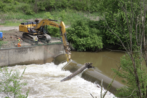 Bagger bei der Arbeit an einem Staudamm in einem Fluss, mit Bäumen auf beiden Ufern und sichtbarem Wasser darunter.