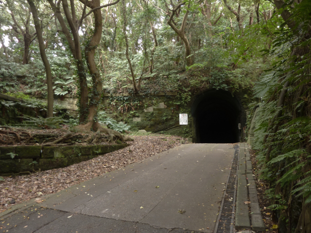 Ein Tunnel im Wald mit Bäumen auf beiden Seiten, eine Straße mit trockenen Blättern unten und eine Tafel mit Text im Hintergrund.