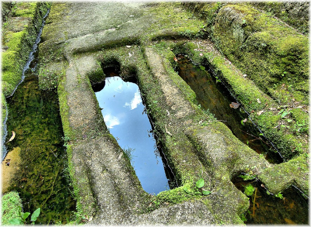 Ein von grünem Gras und Pflanzen umgebenes Gewässer.