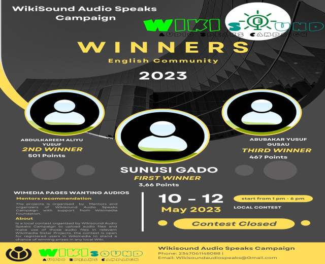 Buntes Plakat mit blauem Hintergrund und gelb/weißer Schrift für die Wikisound Audio Speaks Kampagne, mit fetter 'Gewinner'überschrift und lachenden Menschen, die über die Kampagnenergebnisse feiern.