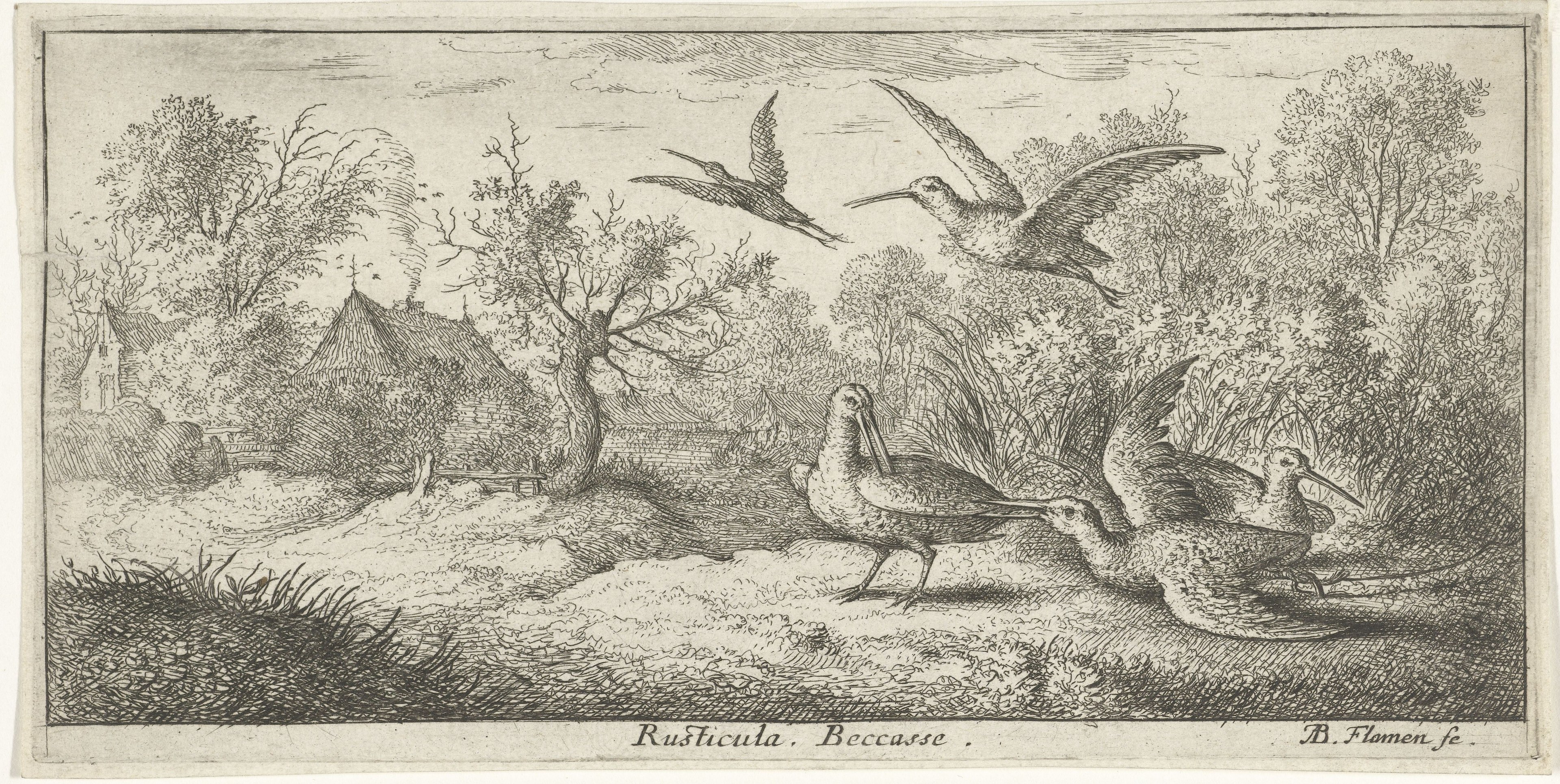 Ein bewaldetes Gebiet mit einer Gruppe von Vögeln, die zwischen Bäumen, Pflanzen, Gras und Häusern fliegen, mit Text unten.