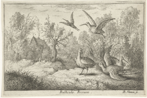 Ein bewaldetes Gebiet mit einer Gruppe von Vögeln, die zwischen Bäumen, Pflanzen, Gras und Häusern fliegen, mit Text unten.