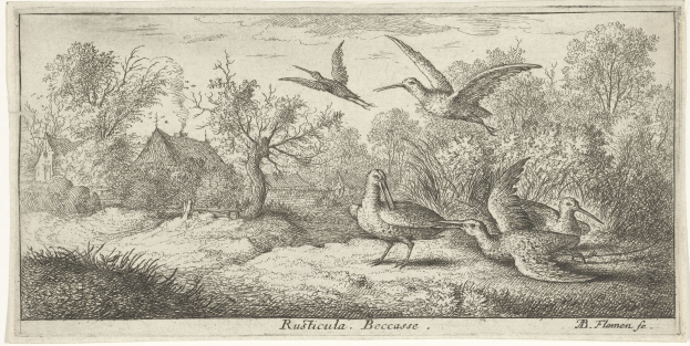 Ein bewaldetes Gebiet mit einer Gruppe von Vögeln, die zwischen Bäumen, Pflanzen, Gras und Häusern fliegen, mit Text unten.