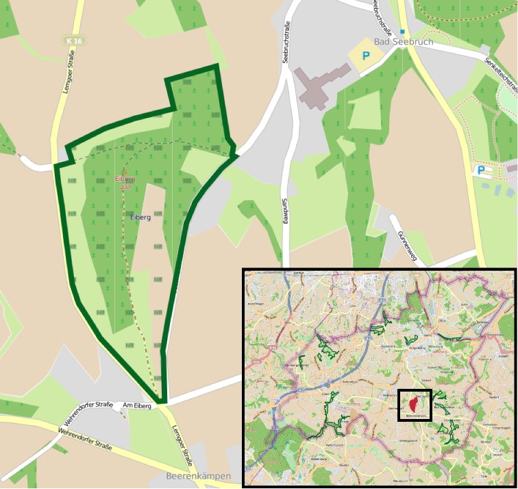 Lauffenmühle-Areal in Lörrach erreicht nächsten Meilenstein