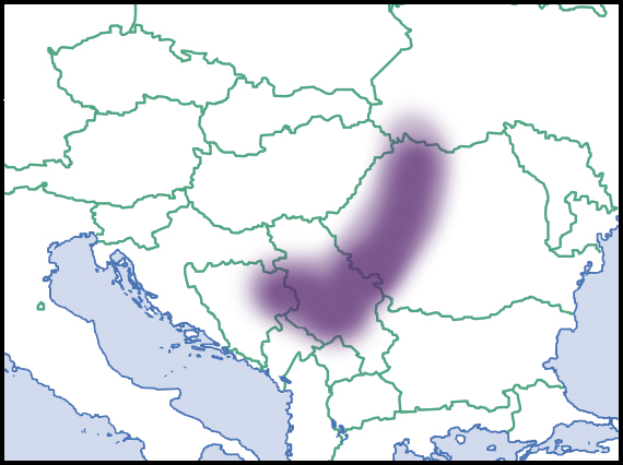 Eine Karte von Europa mit einem schwarzen Rand oben und unten, die einen violetten Bereich in der Mitte hervorhebt, der wahrscheinlich die Russische Föderation darstellt.