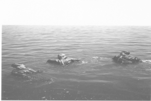 Ein Schwarz-Weiß-Foto von drei Menschen im Wasser mit Text öber dem Bild.