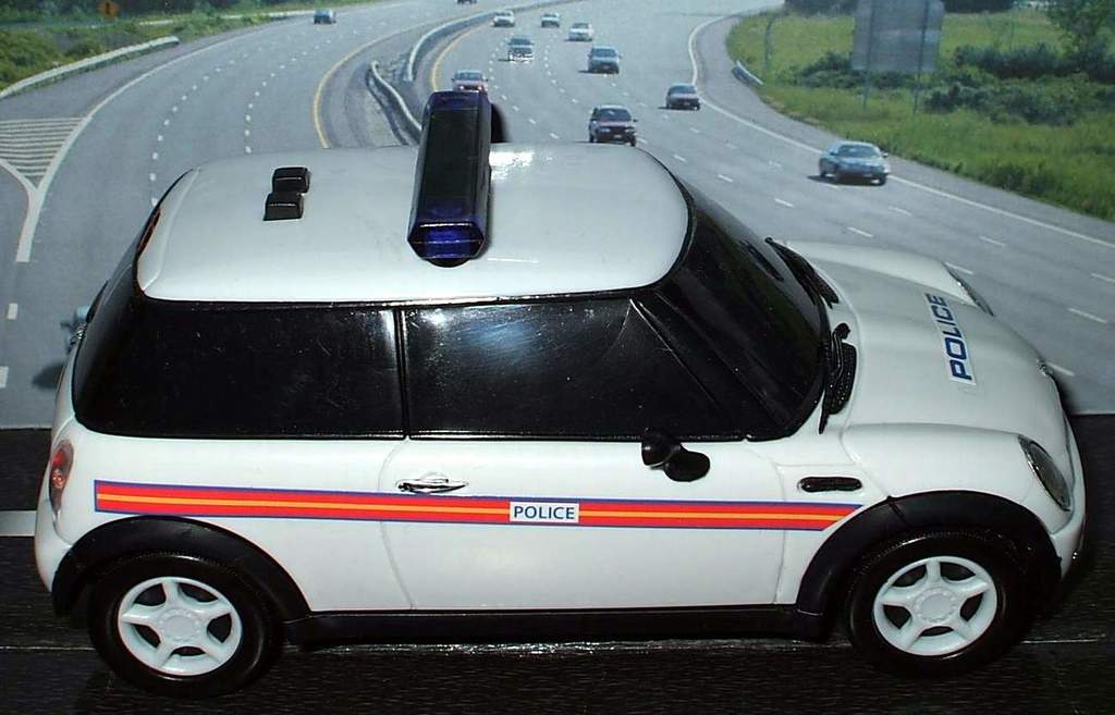 Ein weißer Polizeiwagen steht im Vordergrund, hinter ihm fahren viele Autos auf der Straße. Rechts und links der Straße sehen wir Gras und Bäume.