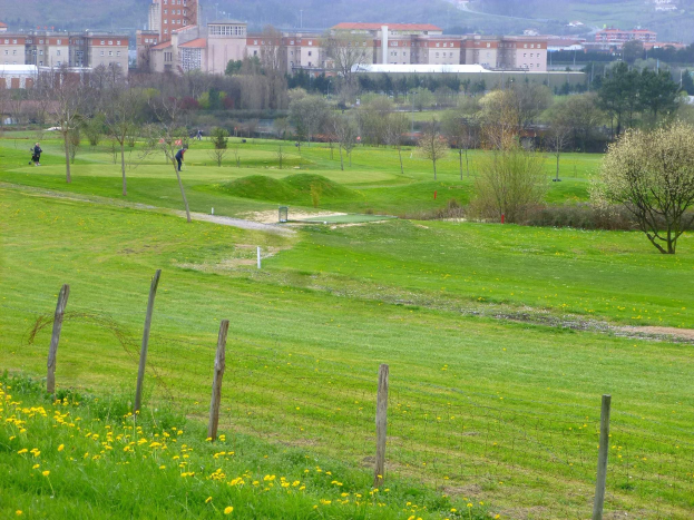 Golfplatz mit saftig grünem Rasen, hohen Bäumen, gelben Blumen im Vordergrund, Gebäuden und wolkenlosem blauen Himmel im Hintergrund und Menschen beim Golfspielen.