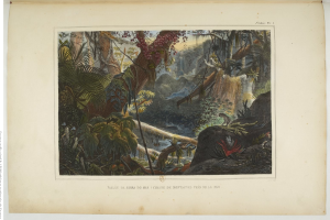 Ein aufgeschlagenes Buch mit einer Malerei eines üppigen Dschungelszenen mit Bäumen, Pflanzen, Felsen und einem Wasserfall, mit Text unten.