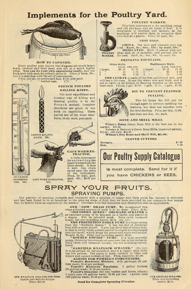Eine alte Werbung für einen Hühnerhof, die Text und bunte Bilder verschiedener Hühnerprodukte zeigt, mit Details zu Zutaten, Preisen und Anwendungsanweisungen in fetter Schrift.